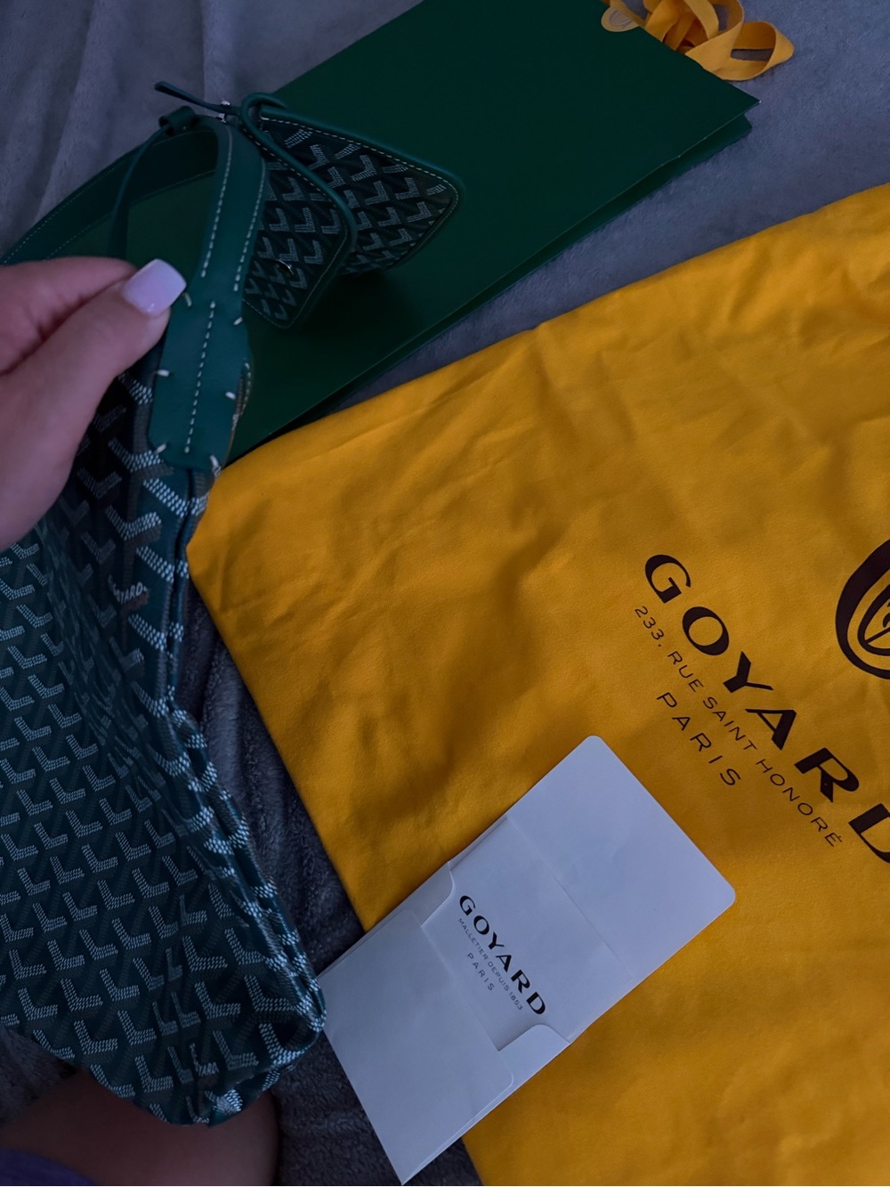 Goyard Bohème Hobo Bag Green Goyardine + Pouch, Dust Bag & Box - Picture 10 of 10